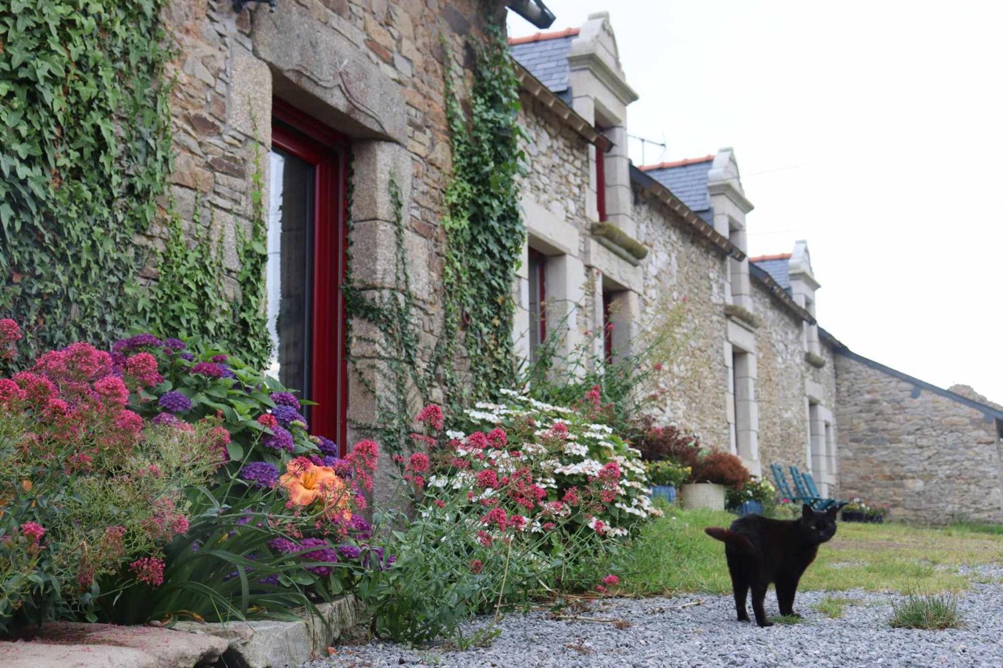 La Petite Berais Bed and Breakfast Missillac Eksteriør billede